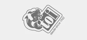 Toi